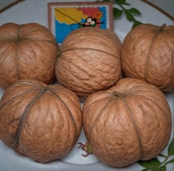 Орех грецкий скороплодный Левина