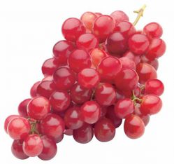 Виноград Красный бриллиант