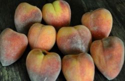 Персик Эирлум (Золото пустыни / Heirloom Peaches) 