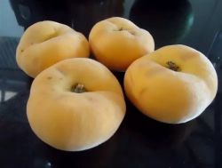 Персик Белая леди